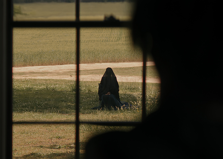 The Woman in the Yard Still Image 1